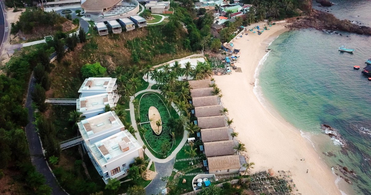 bamboo capital ban 51 von mot cong ty bat dong san 65a0a76b54ff4