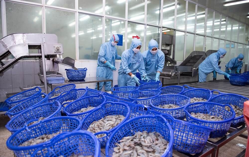 co phieu can quan tam ngay 5 1 6597a5d89f417