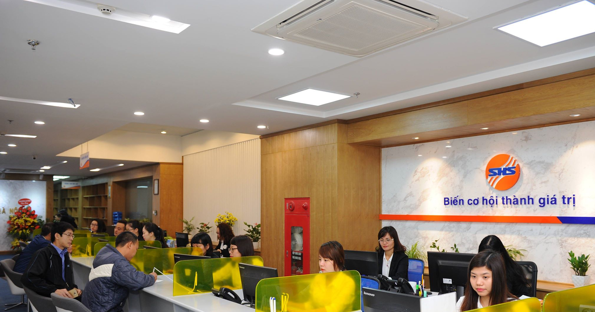 shs lai nam 2023 gap 3 lan cung ky dang gam hai co phieu ban le 65ade4d2acf00