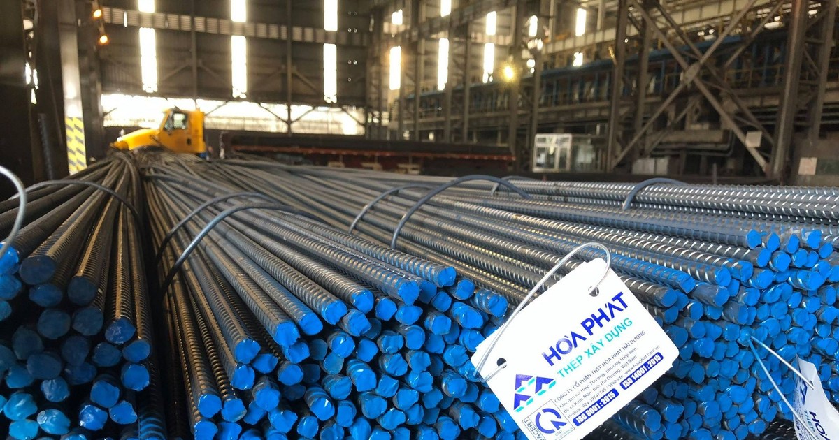 visecurities hpg nkg hsg co the thanh tam diem dau tu 2024 6597dddc24078