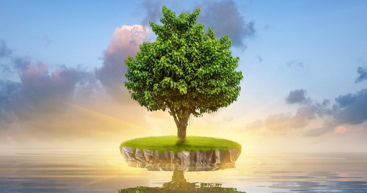 nhan dinh thi truong phien giao dich chung khoan ngay 19 2 khong nen mua duoi 65d331927c402