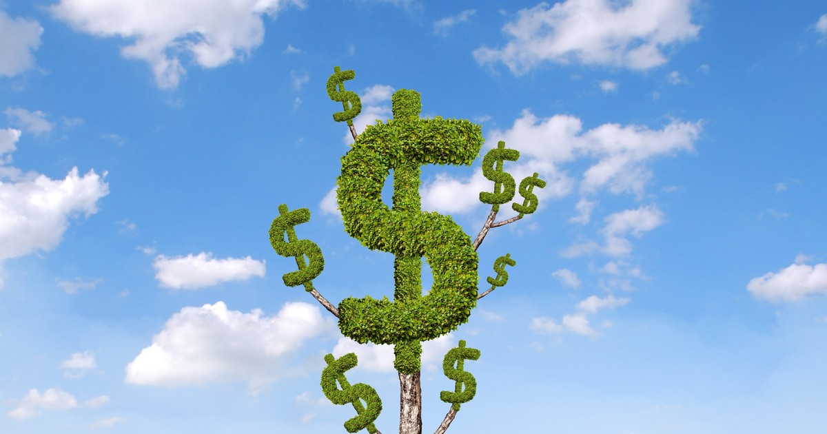 top 10 co phieu tang giam manh nhat tuan nhom cong ty chung khoan duy tri suc hut 65ed8f5e583e4