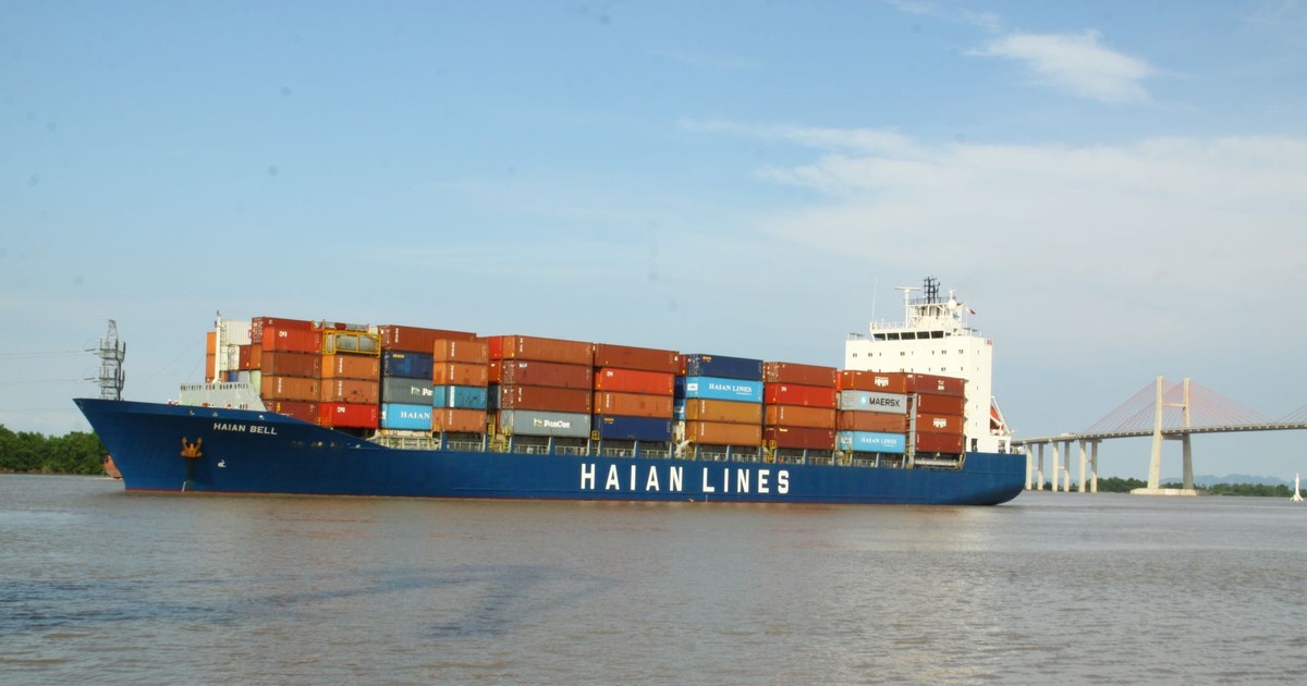van tai xep do hai an len ke hoach loi nhuan di lui tra co tuc 15 6615fd6253ce2